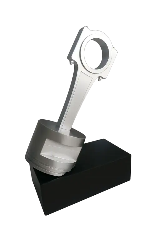 Polyester özel tasarım ödül modeli